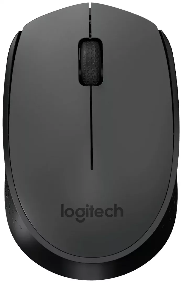 Mouse Logitech M170 grey